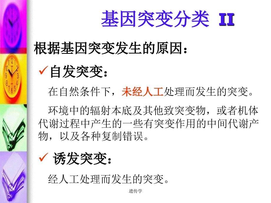 医学遗传学：第三节 基因突变_第5页