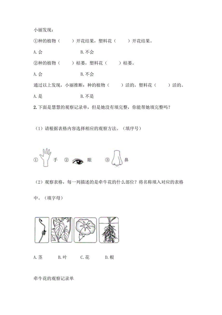 教科版科学一年级上册第一单元《植物》测试卷精品【基础题】.docx_第4页