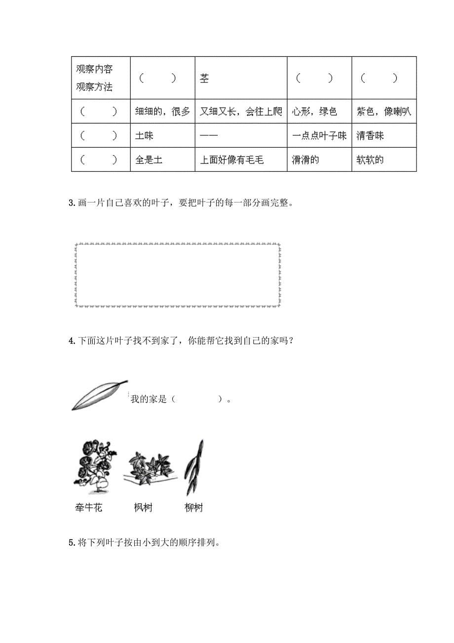 教科版科学一年级上册第一单元《植物》测试卷精品【基础题】.docx_第5页