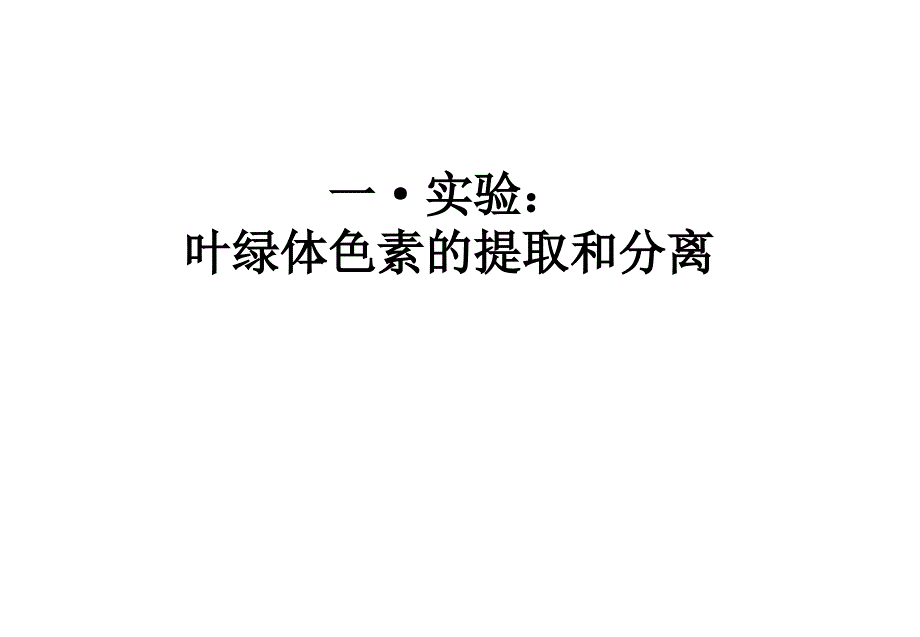 赵晓菲光合作用第一课时_第3页