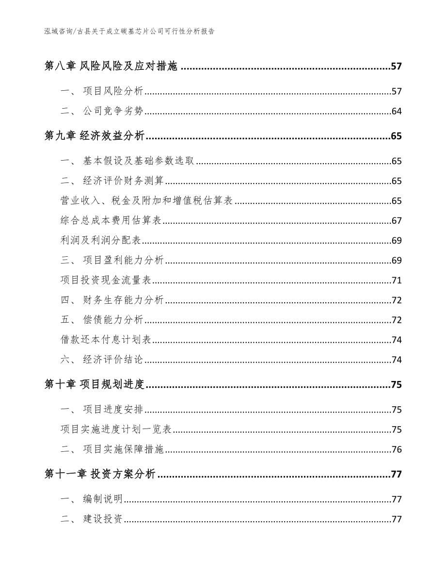 古县关于成立碳基芯片公司可行性分析报告_第5页