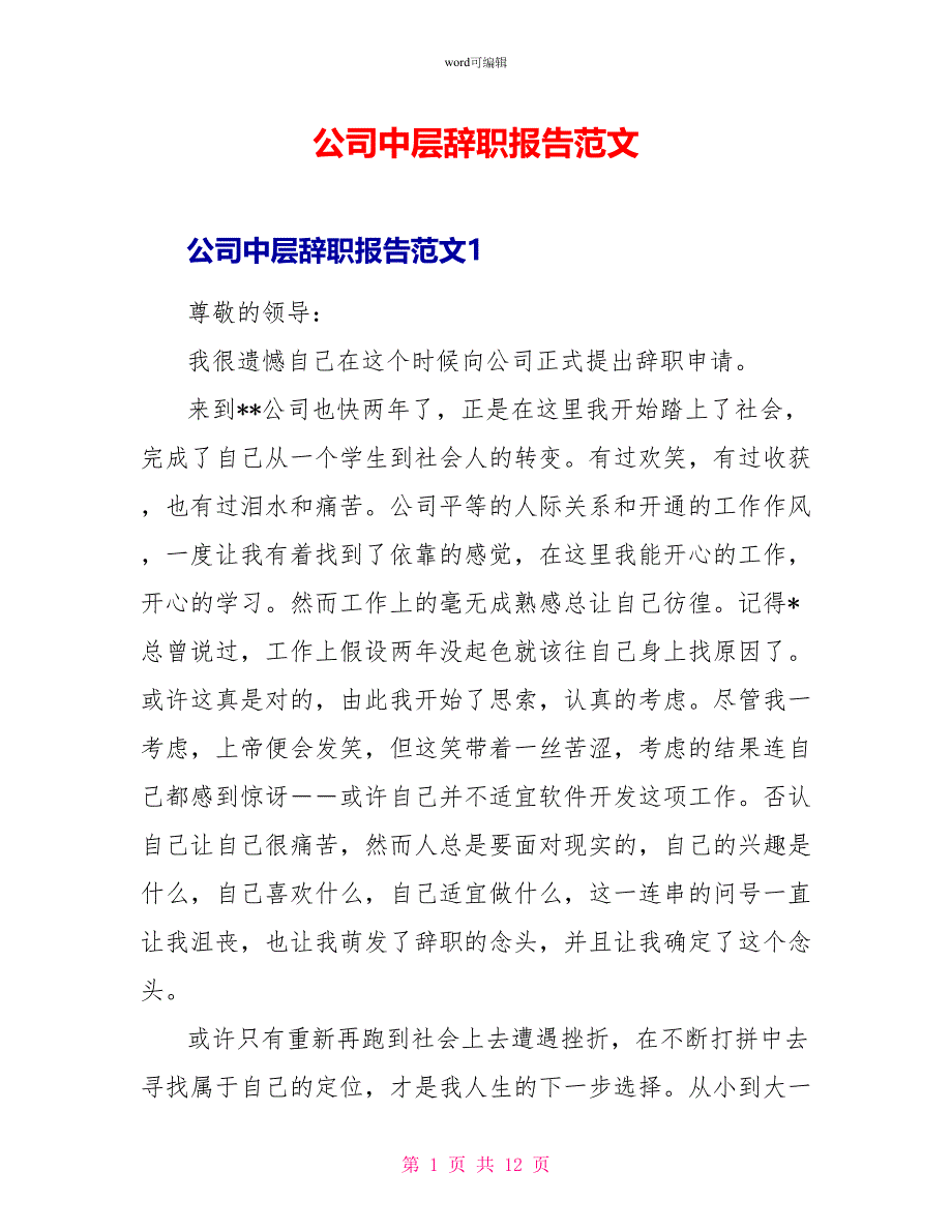 公司中层辞职报告范文_第1页