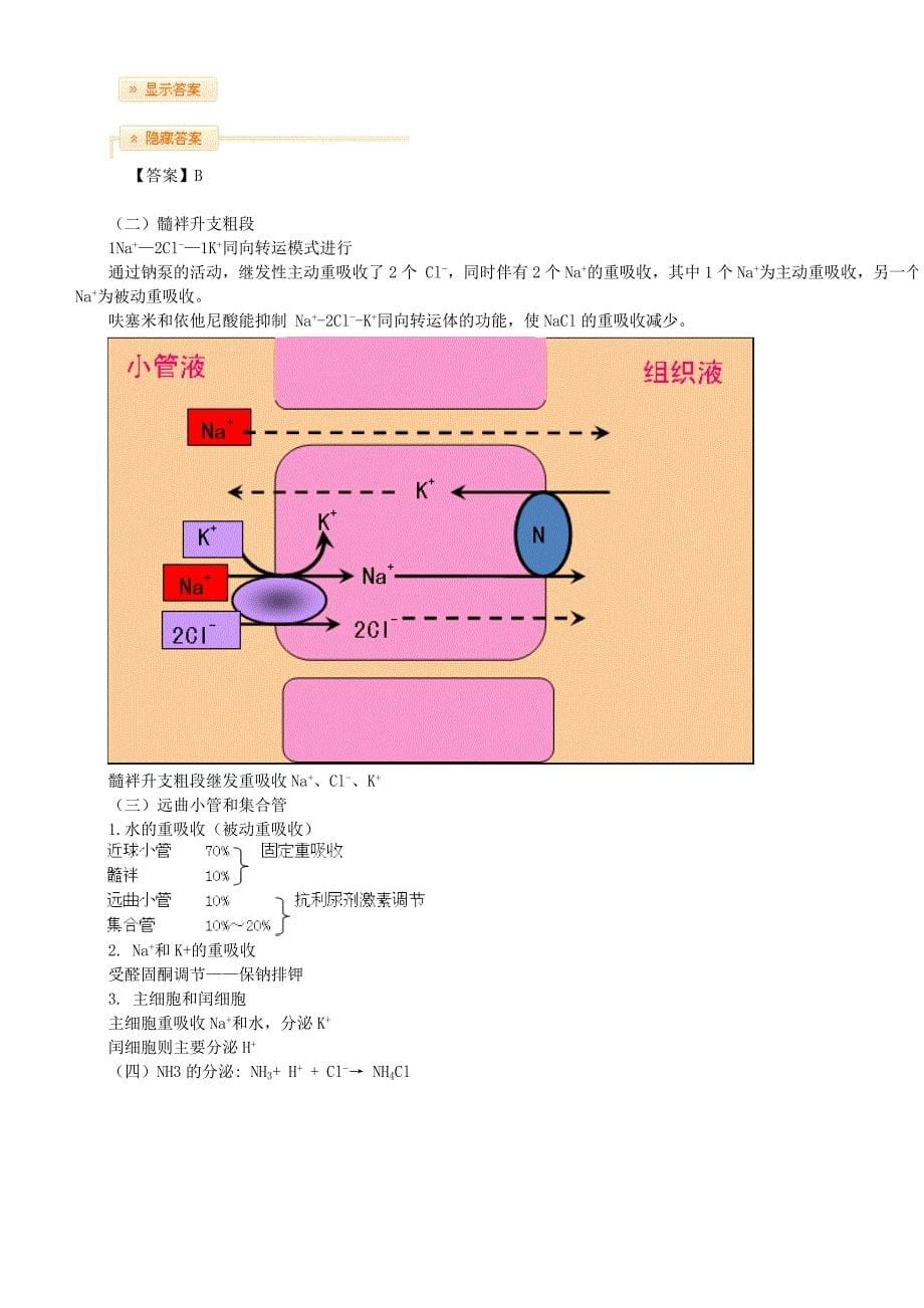 第七单元 尿的生成与排出.doc_第5页