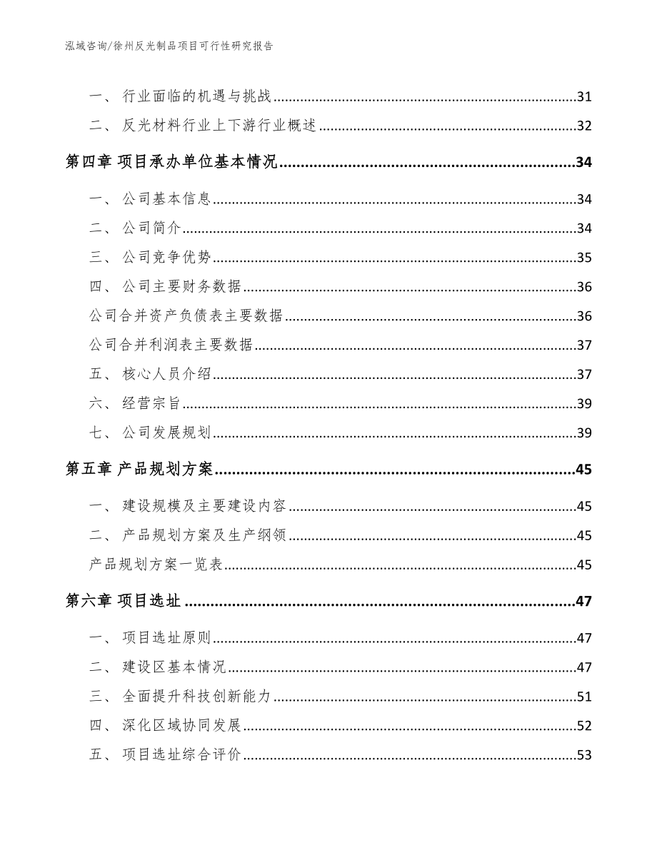 徐州反光制品项目可行性研究报告参考范文_第3页