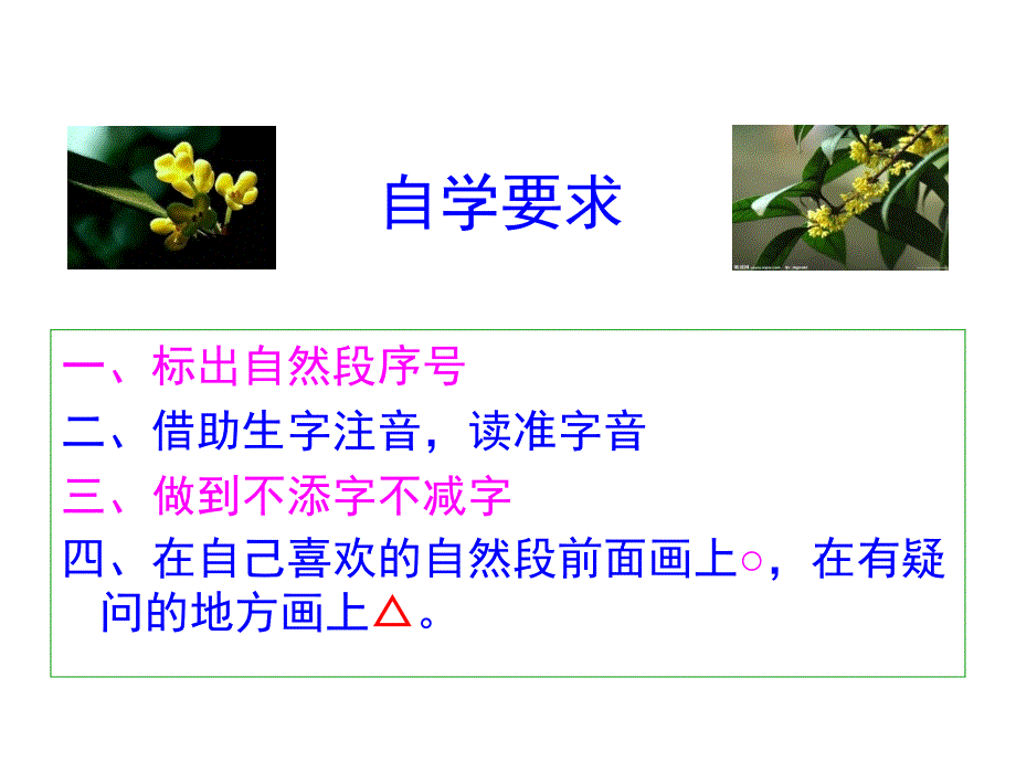 桂花雨课件10_第2页