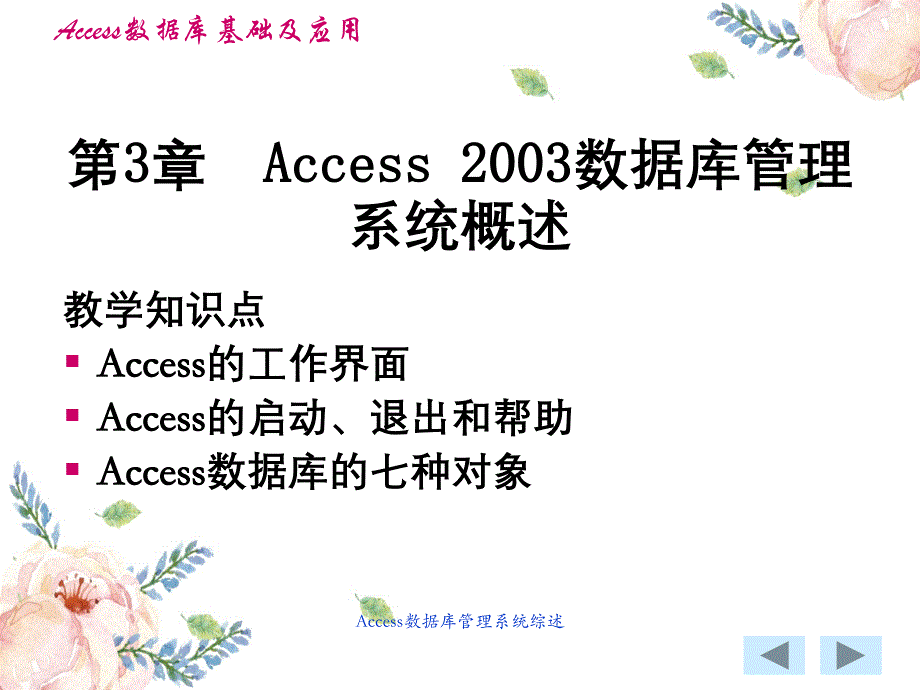 Access数据库管理系统综述_第1页