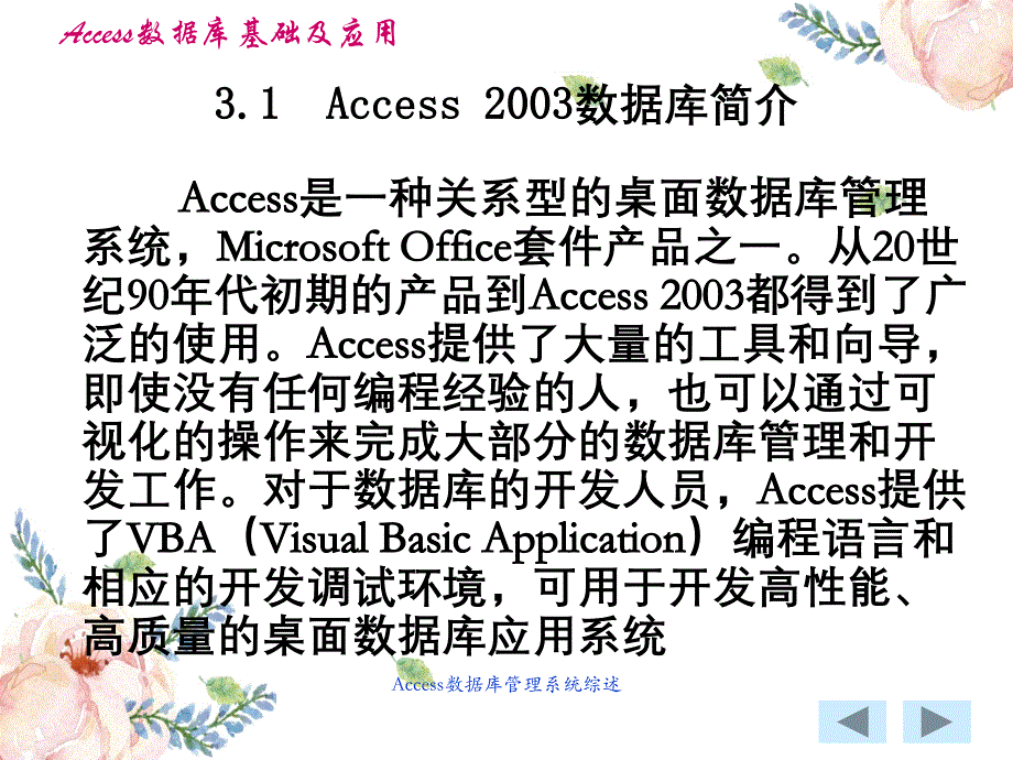 Access数据库管理系统综述_第2页