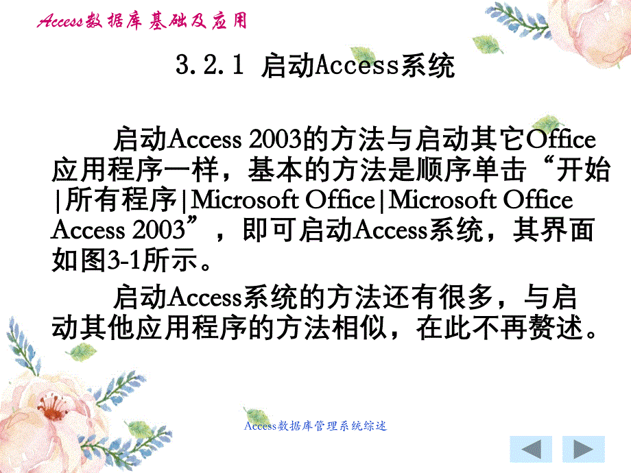 Access数据库管理系统综述_第4页