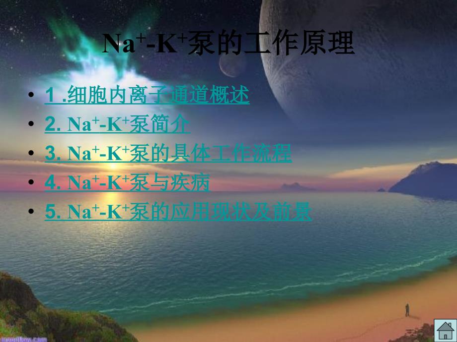 NaK泵的工作原理_第2页