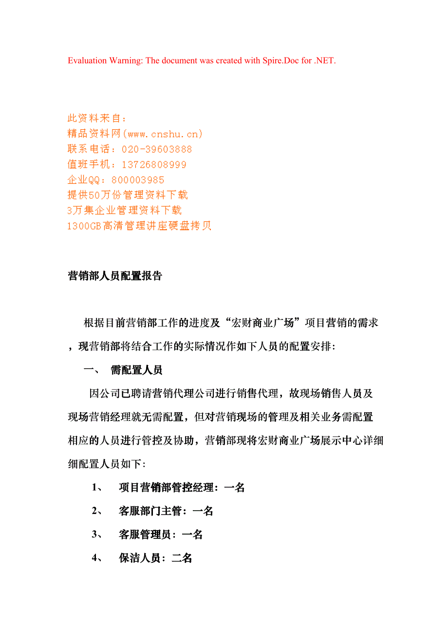 公司营销部人员配置报告_第1页