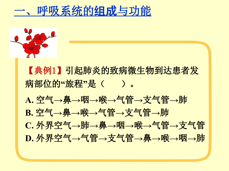 《人体的呼吸》教育 .ppt_第4页