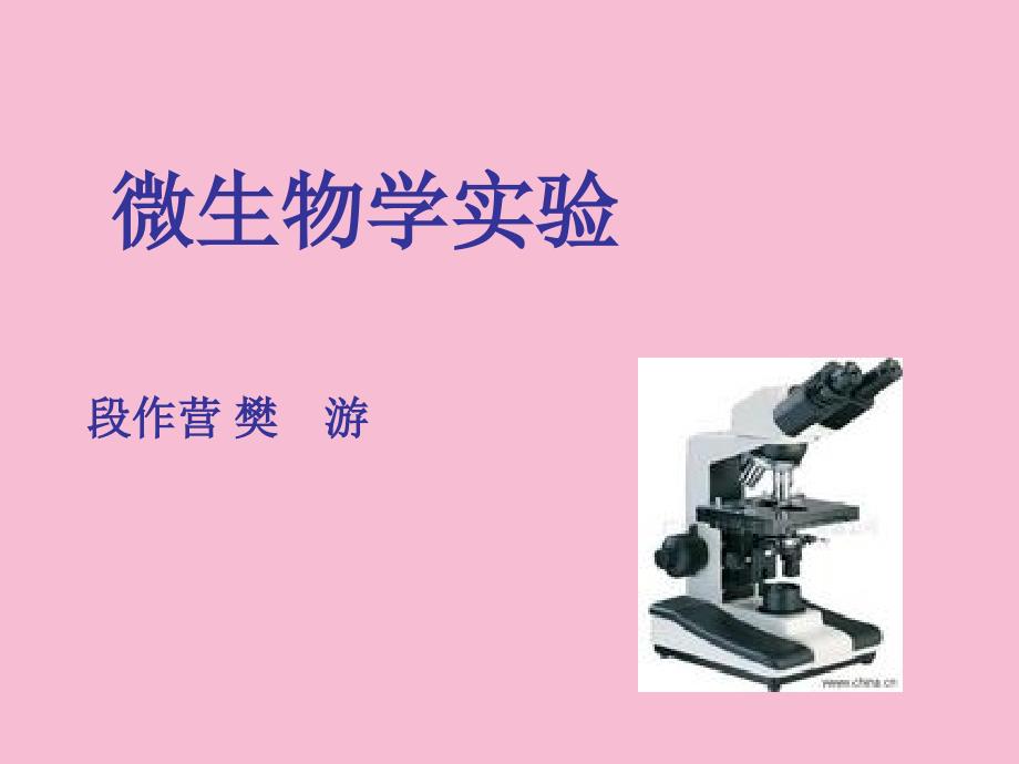 实验1酵母菌形态观察ppt课件_第1页