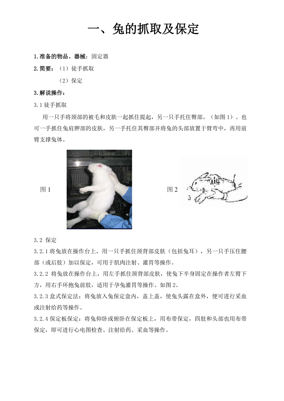 兔实验技术操作_第1页