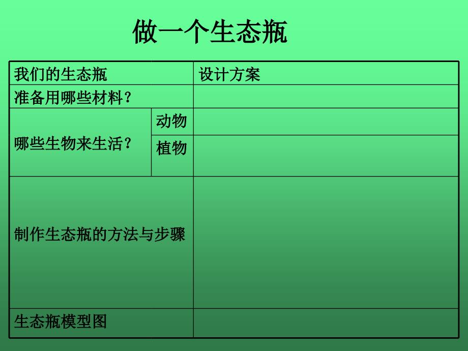 做一个生态瓶_第3页