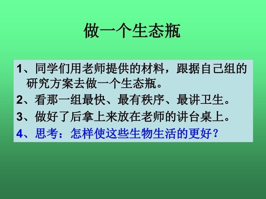 做一个生态瓶_第5页