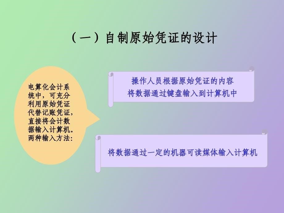 电算化会计系统制度设计_第5页