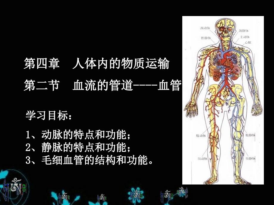 42血流的管道血管人教版七年级下册生物课件1_第1页