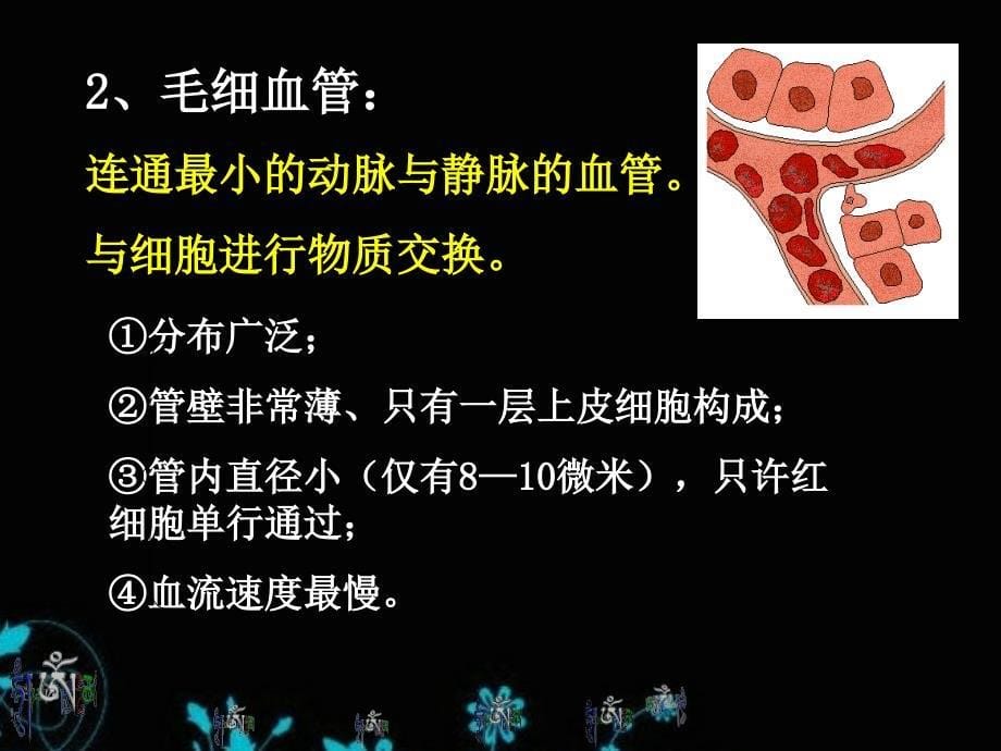 42血流的管道血管人教版七年级下册生物课件1_第5页