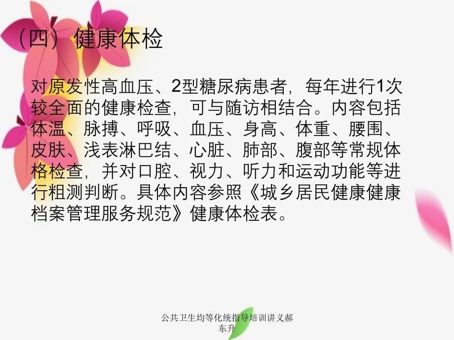 公共卫生均等化统指导培训讲义郝东升_第5页