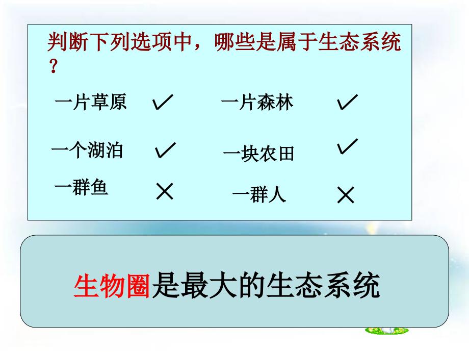 6生物与环境组成生态系统_第4页