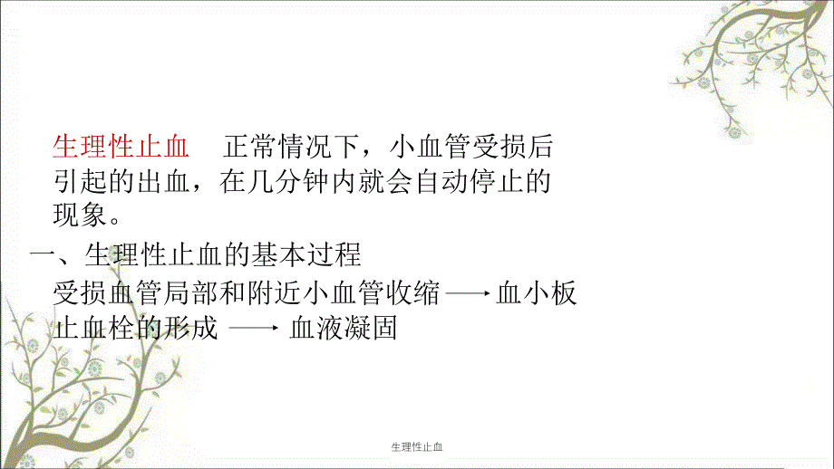 生理性止血课件_第2页