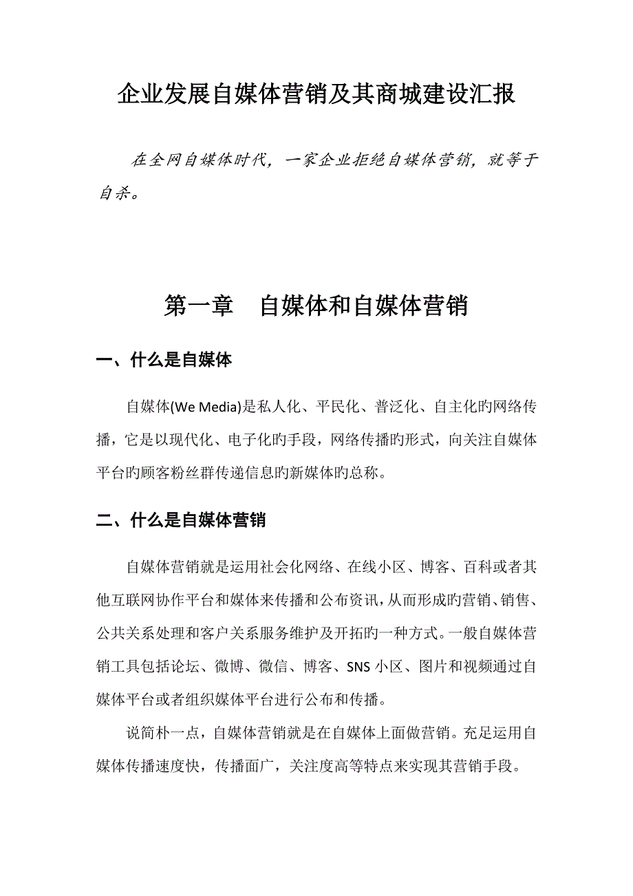 发展自媒体营销报告_第1页