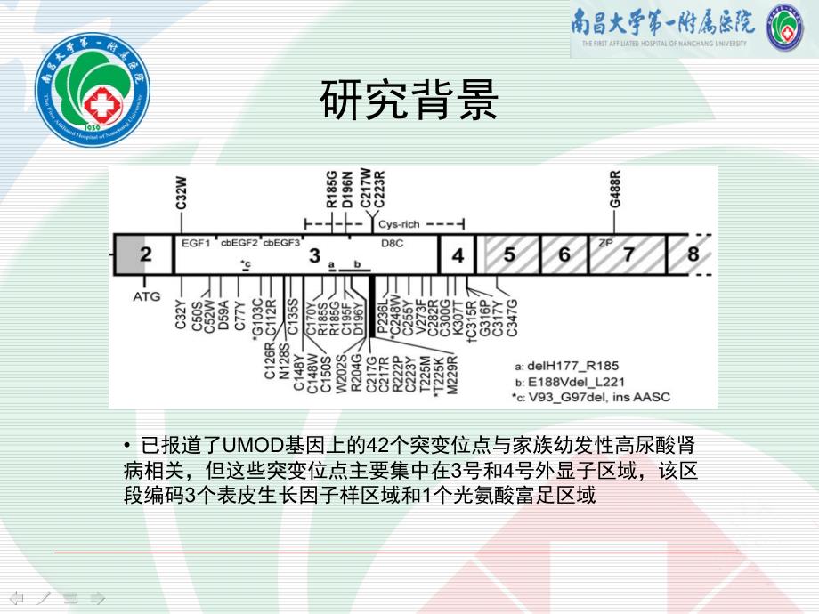 家族性青少年高尿酸肾病致病基因研究课件_第3页