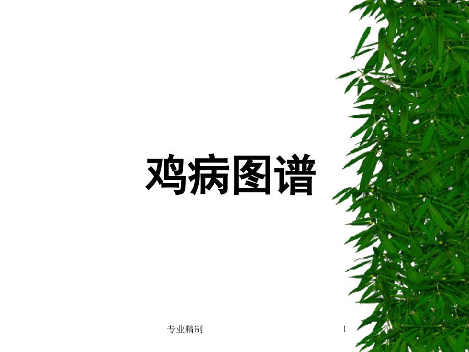 鸡病图谱参考#荟萃知识_第1页