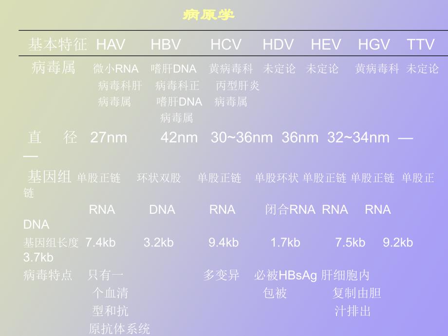 病毒性肝炎的治疗和预防_第3页