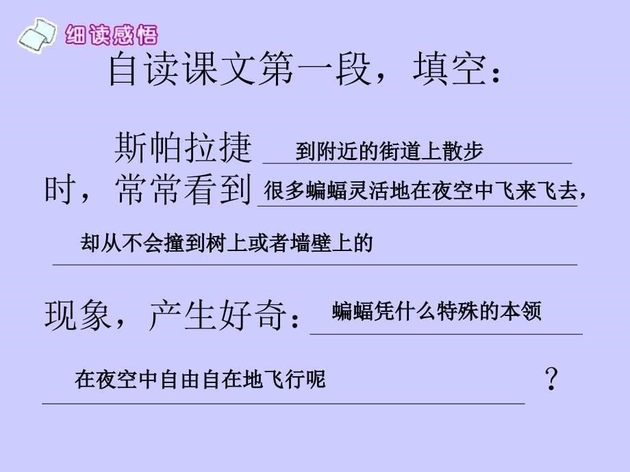 江海杨晓燕夜晚的实验课件精品教育_第5页