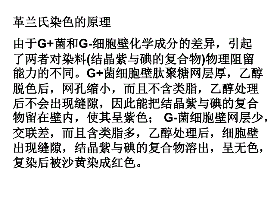 微生物知识点_第4页