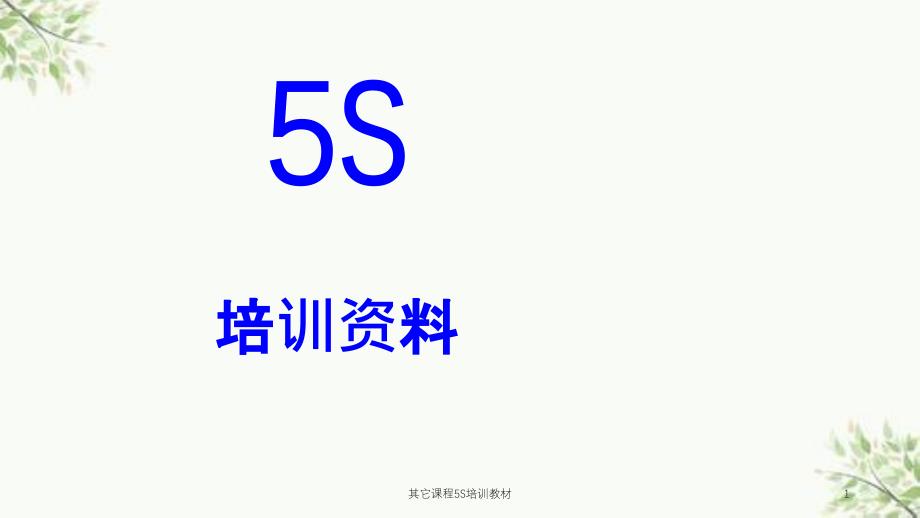 其它课程5S培训教材课件_第1页