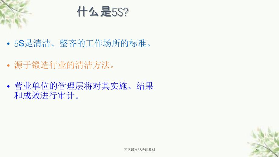 其它课程5S培训教材课件_第4页