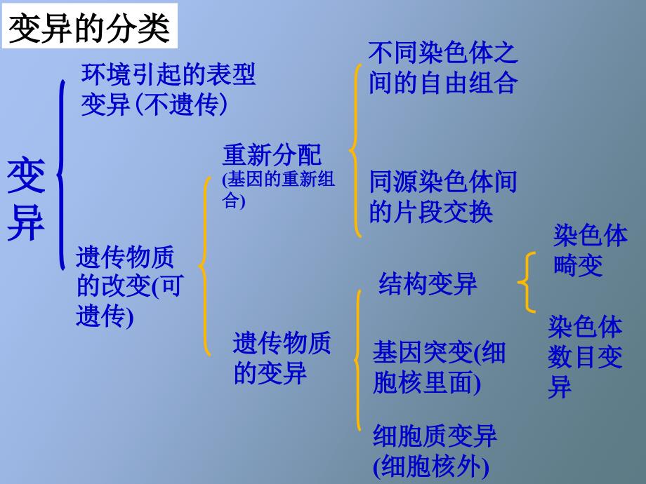 染色体结构变异_第2页