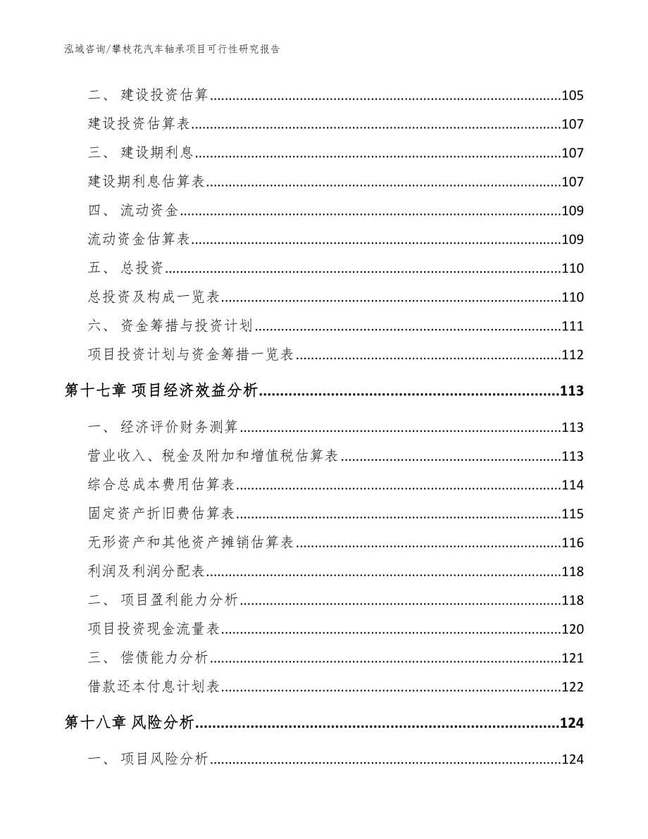 攀枝花汽车轴承项目可行性研究报告【参考范文】_第5页