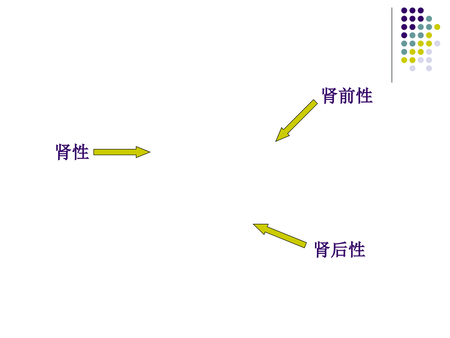 余秉治急慢性肾衰竭鉴别诊断及治疗原则课件_第4页