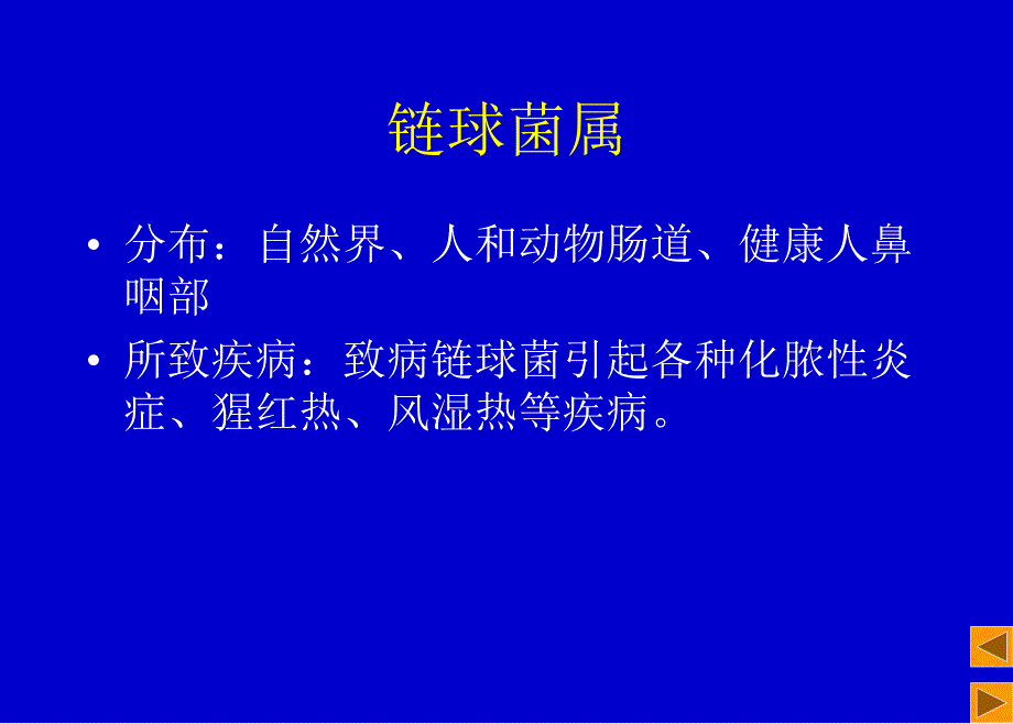 链球菌属PPT课件_第1页