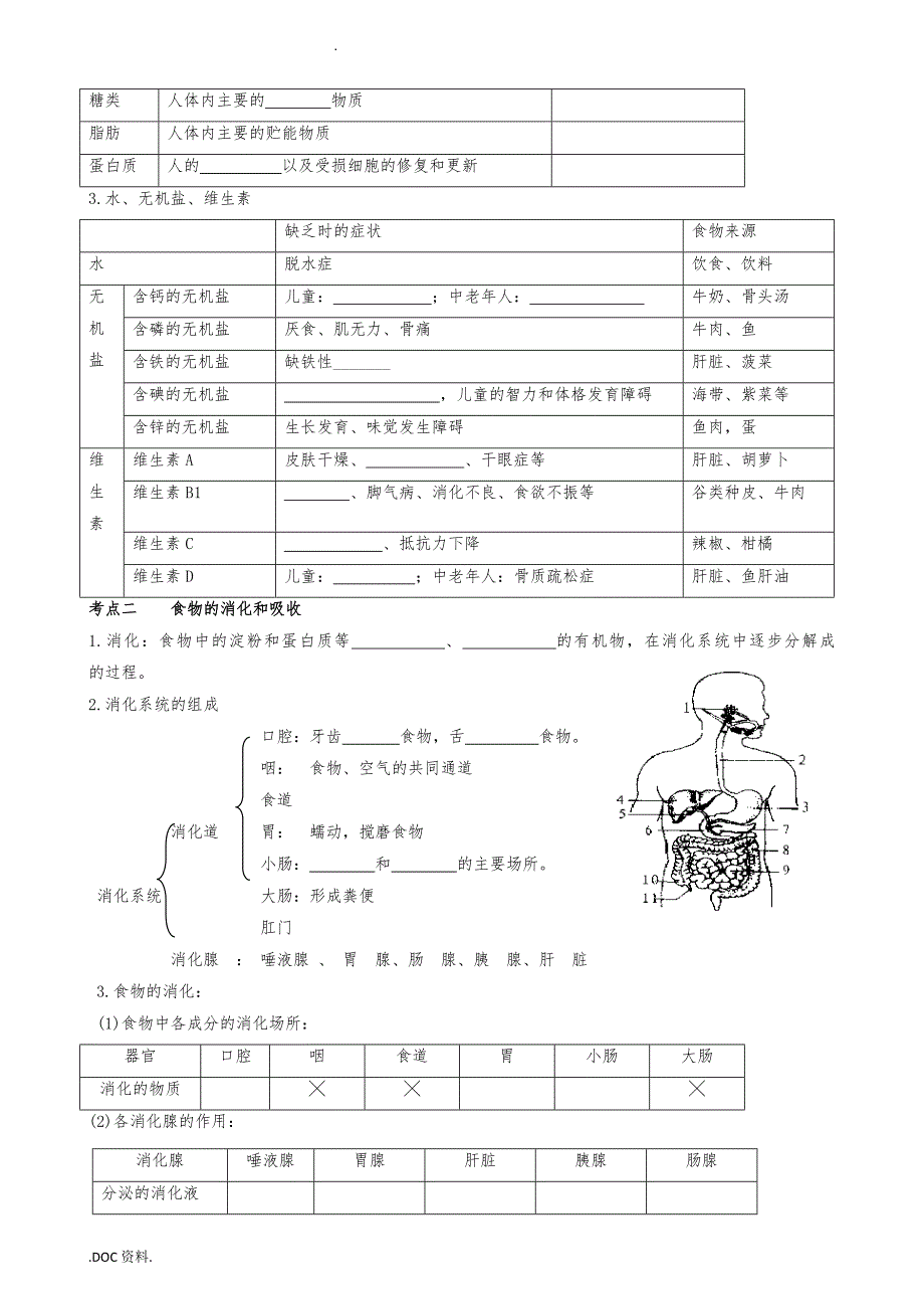 广东中山市2019届中考生物专题复习第四单元生物圈中的人第二章人体的营养_第2页