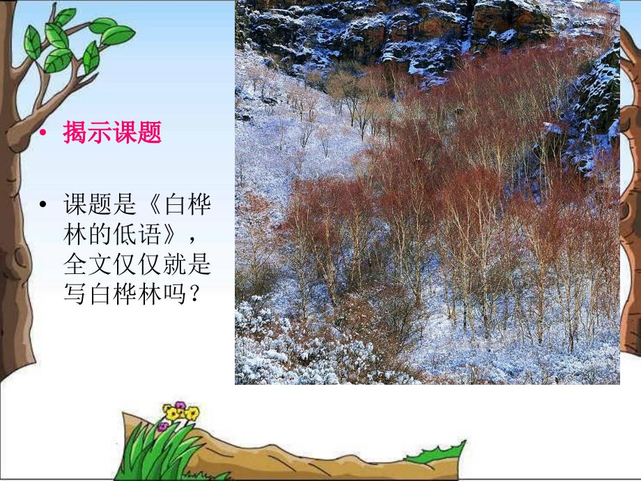 白桦林的低语课件(北师大版六年级语文上册课件)_第4页