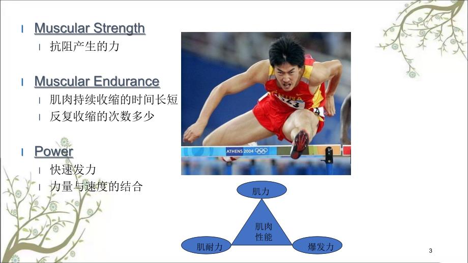 肌肉力量训练课件_第3页