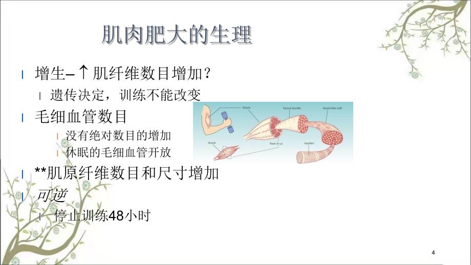 肌肉力量训练课件_第4页