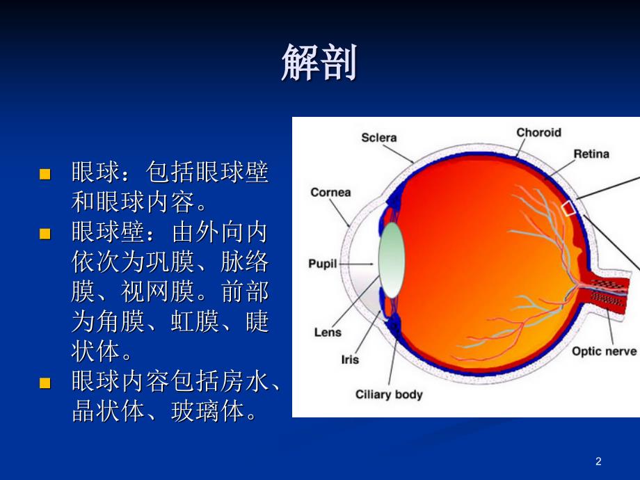 视网膜母细胞瘤影像学表现优秀课件_第2页