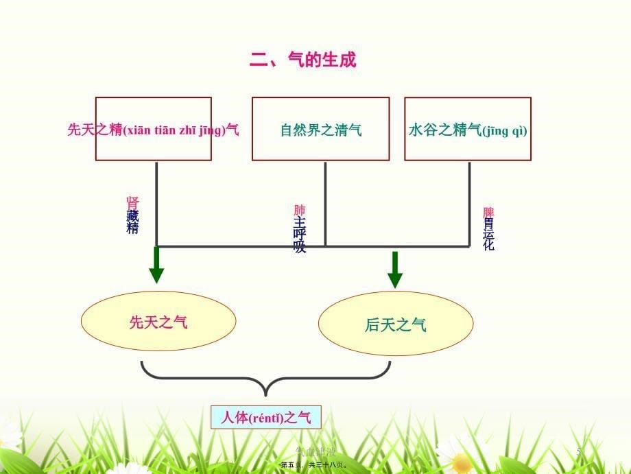 气血津液课件_第5页