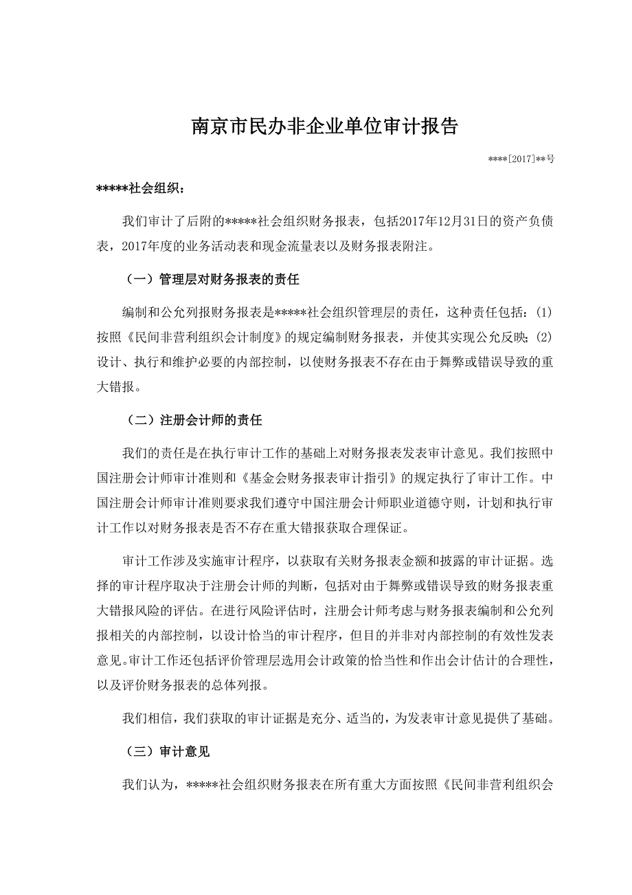 南京民办非企业单位审计报告_第1页