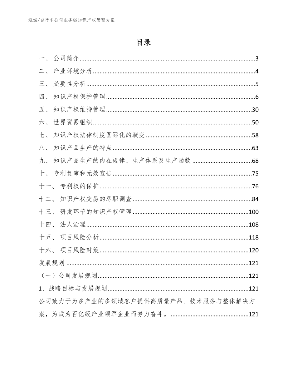 自行车公司业务链知识产权管理方案_第2页