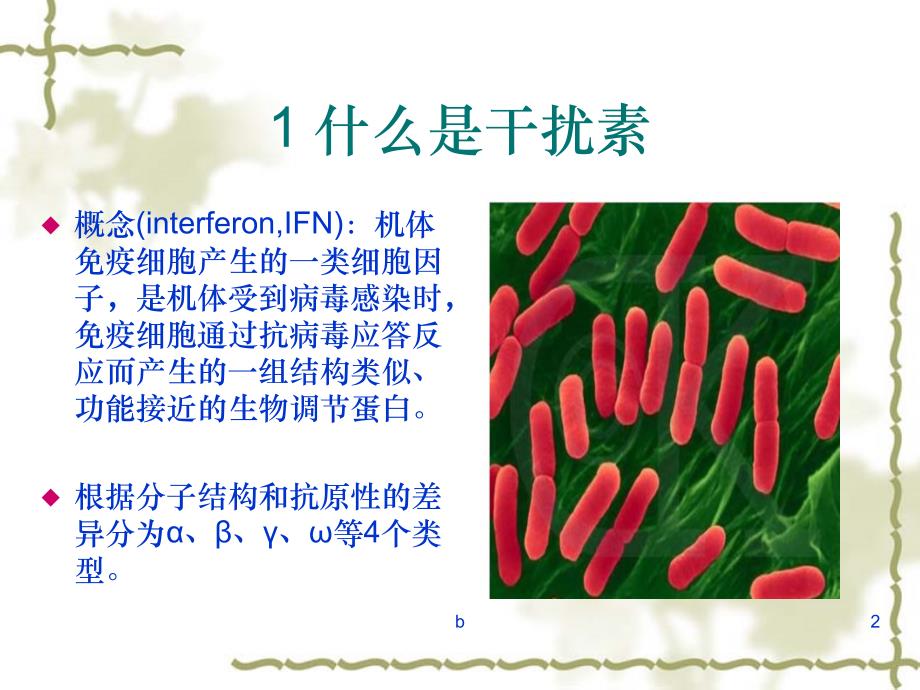 干扰素的工艺制备流程.ppt_第2页