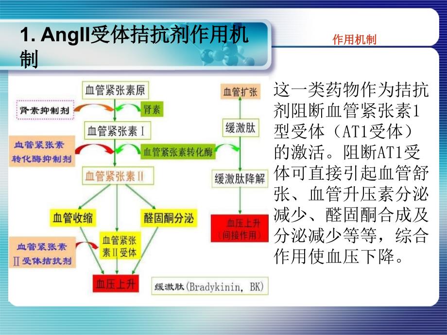 血管紧张素II受体拮抗剂_第3页