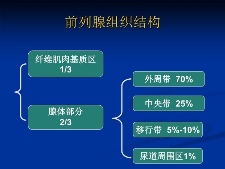 前列腺的MR检查讲课稿_第3页