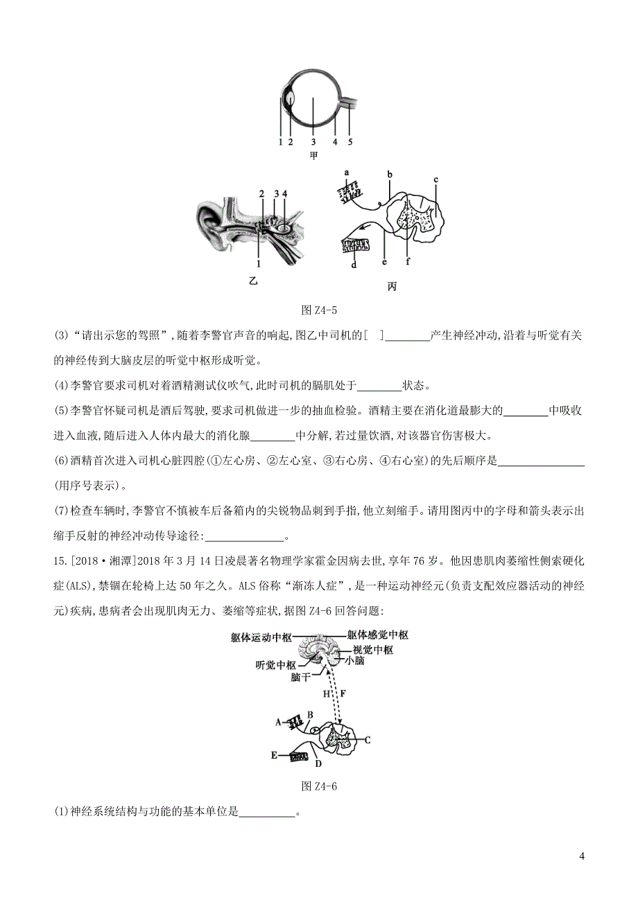 （新课标）2020年中考生物复习 专项训练04 神经调节与激素调节_第4页