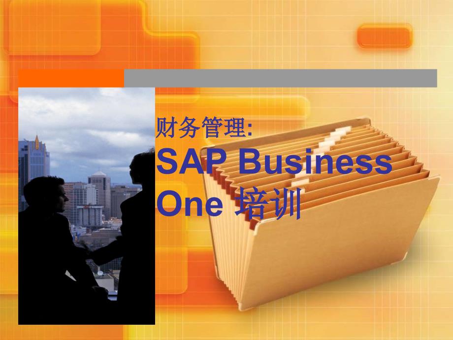 财务管理SAPBusinessOne培训教材_第1页